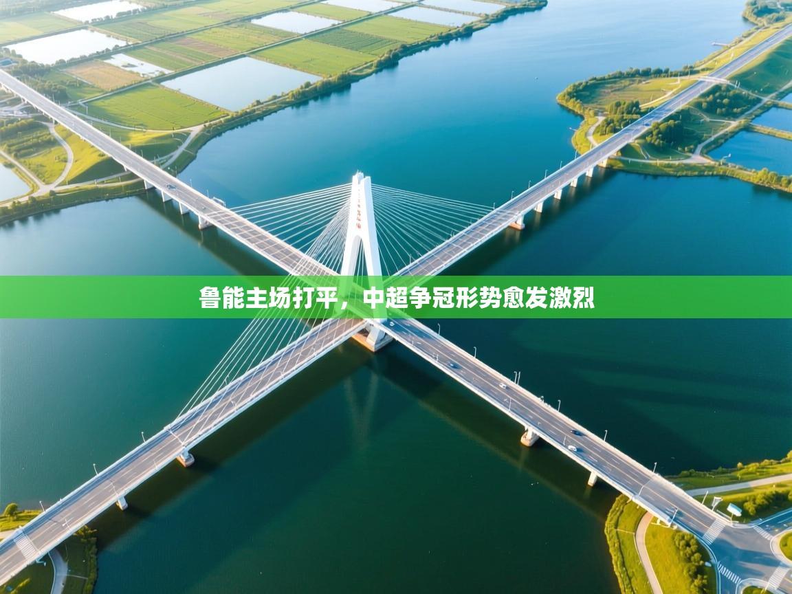 鲁能主场打平,中超争冠形势愈发激烈 第1张