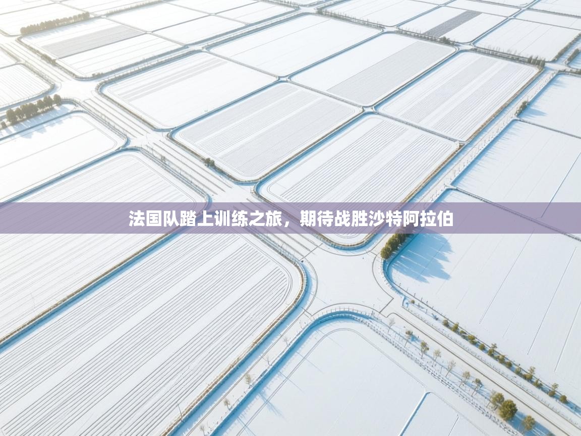 法国队踏上训练之旅，期待战胜沙特阿拉伯  第1张